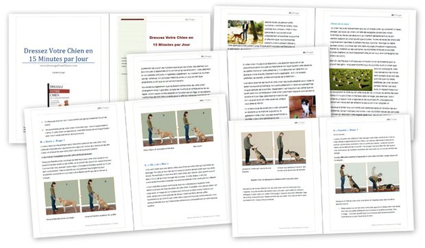 Aperçu réel des pages du guide : exercices illustrés pas à pas