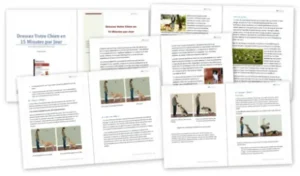 Lire la suite à propos de l’article Les meilleurs livres de dressage pour chien : Votre guide ultime pour une éducation canine réussie