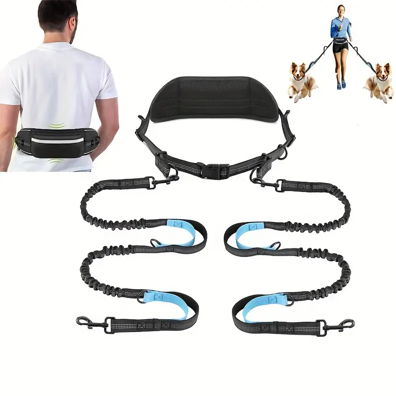 Laisse de Dressage pour Chien, laisse pour chien, laisse double pour chien