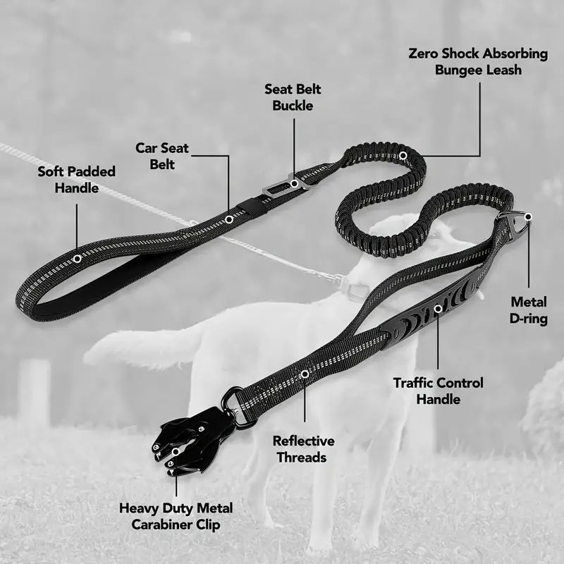 Laisse de Dressage pour Chien,