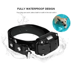 Collier Électrique Pour Chien Dressage Pro