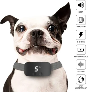 Collier Anti Aboiement Électrique Pour Chien Expert