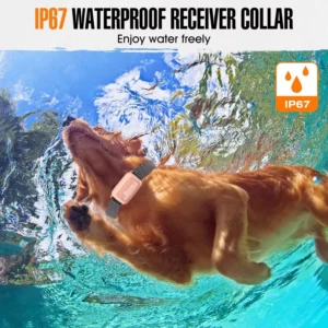 Collier Électrique Chien Télécommande