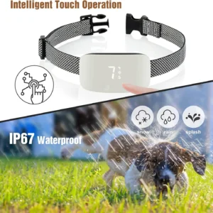 Collier Anti Aboiement Électrique Pour Chien Expert