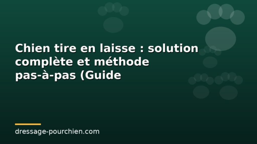 Chien tire en laisse : solution complète et méthode pas-à-pas (Guide