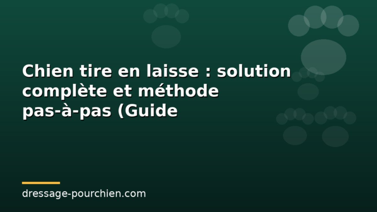 You are currently viewing Chien tire en laisse : solution complète et méthode pas-à-pas (Guide