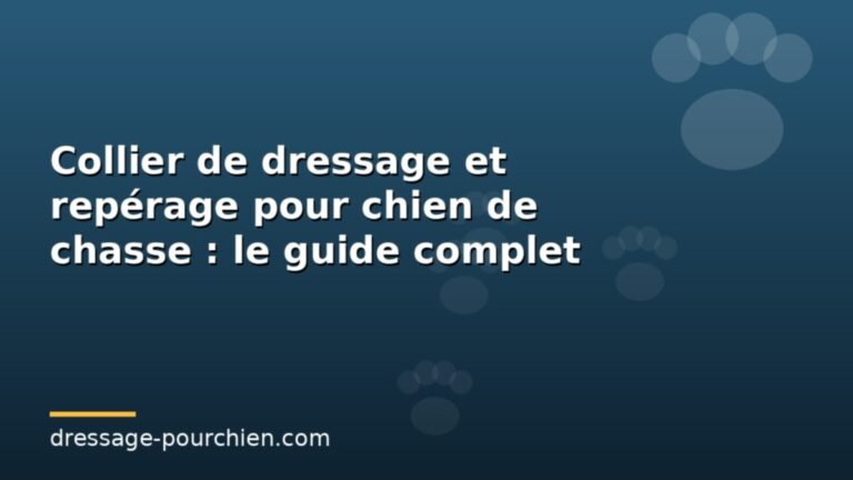 Lire la suite à propos de l’article Collier de dressage et repérage pour chien de chasse : le guide complet
