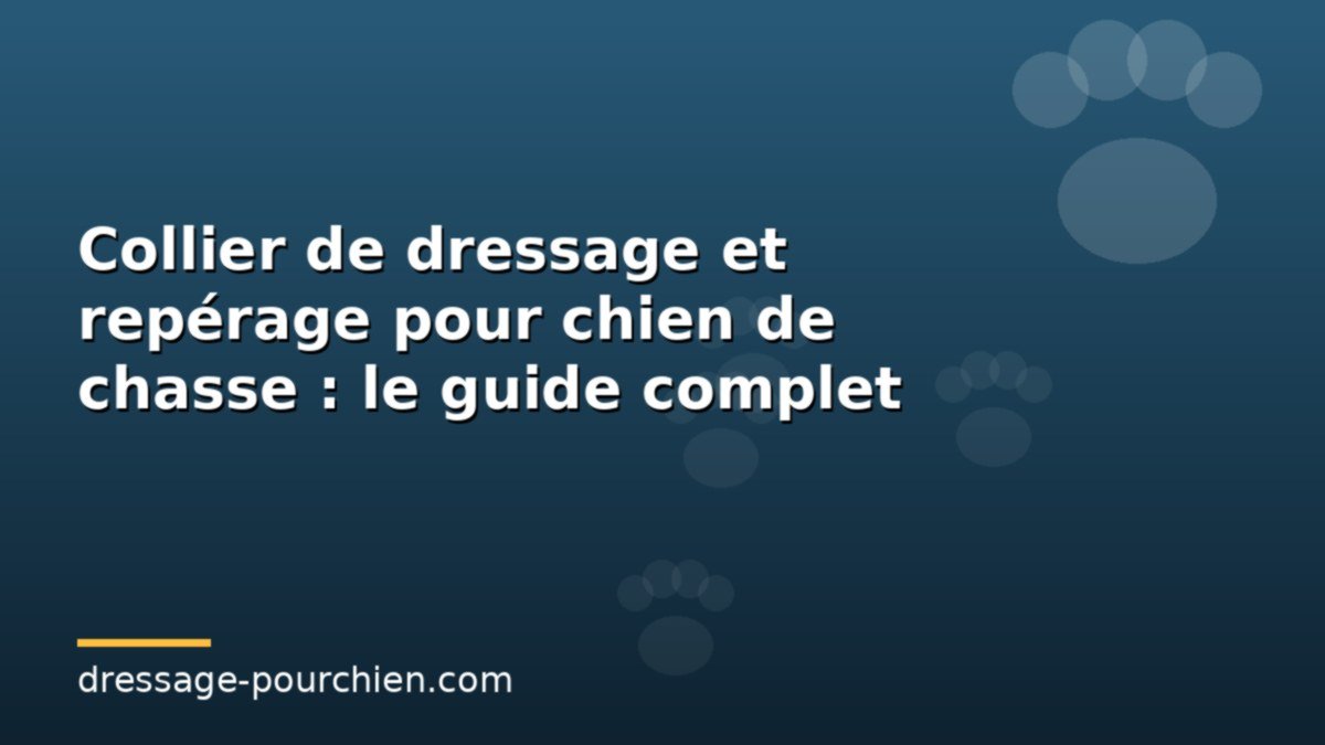 Collier de dressage et repérage pour chien de chasse : le guide complet