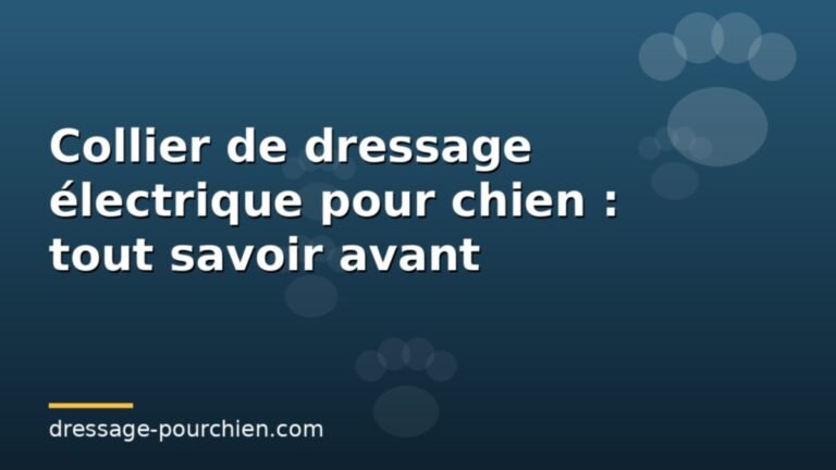 Lire la suite à propos de l’article Collier de dressage électrique pour chien : tout savoir avant