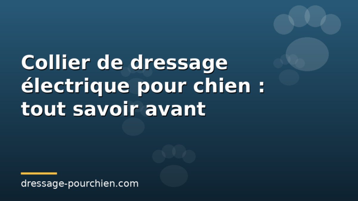 Collier de dressage électrique pour chien : tout savoir avant