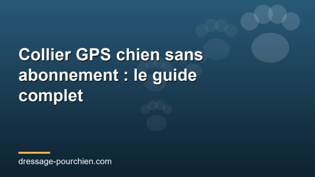 Collier GPS chien sans abonnement : le guide complet pour bien choisir
