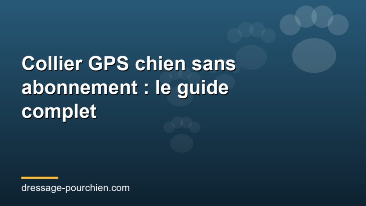Lire la suite à propos de l’article Collier GPS chien sans abonnement : le guide complet pour bien choisir