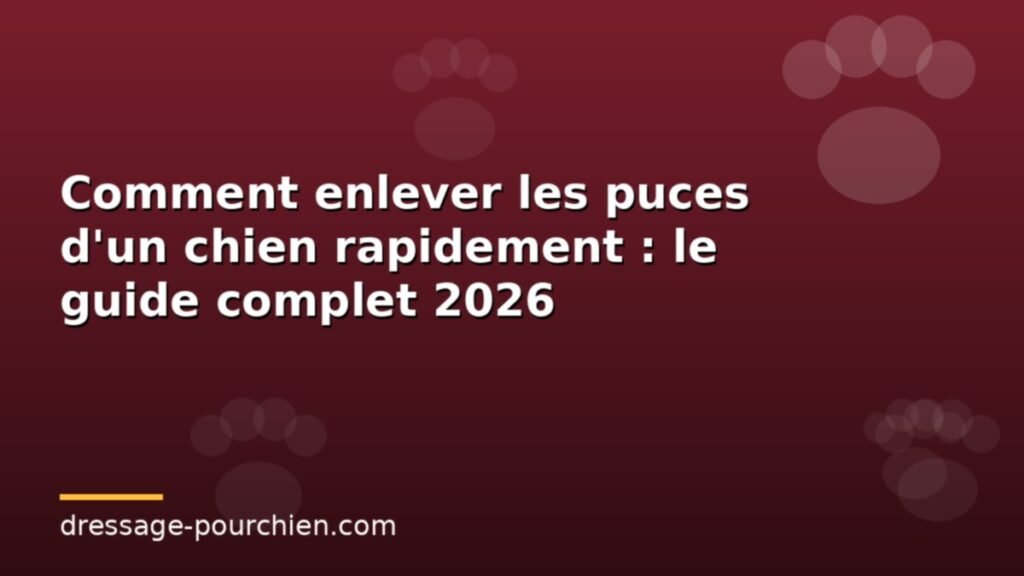 Comment enlever les puces d&rsquo;un chien rapidement : le guide complet 2026
