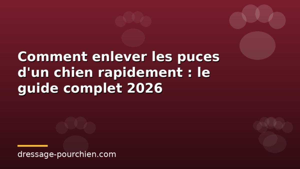 Comment enlever les puces d&rsquo;un chien rapidement : le guide complet 2026