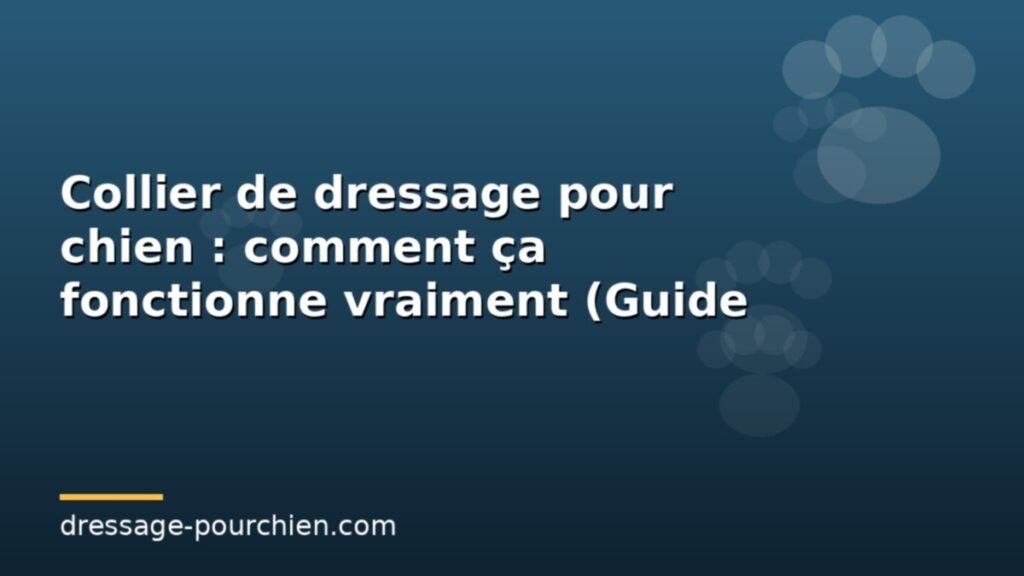 Collier de dressage pour chien : comment ça fonctionne vraiment (Guide