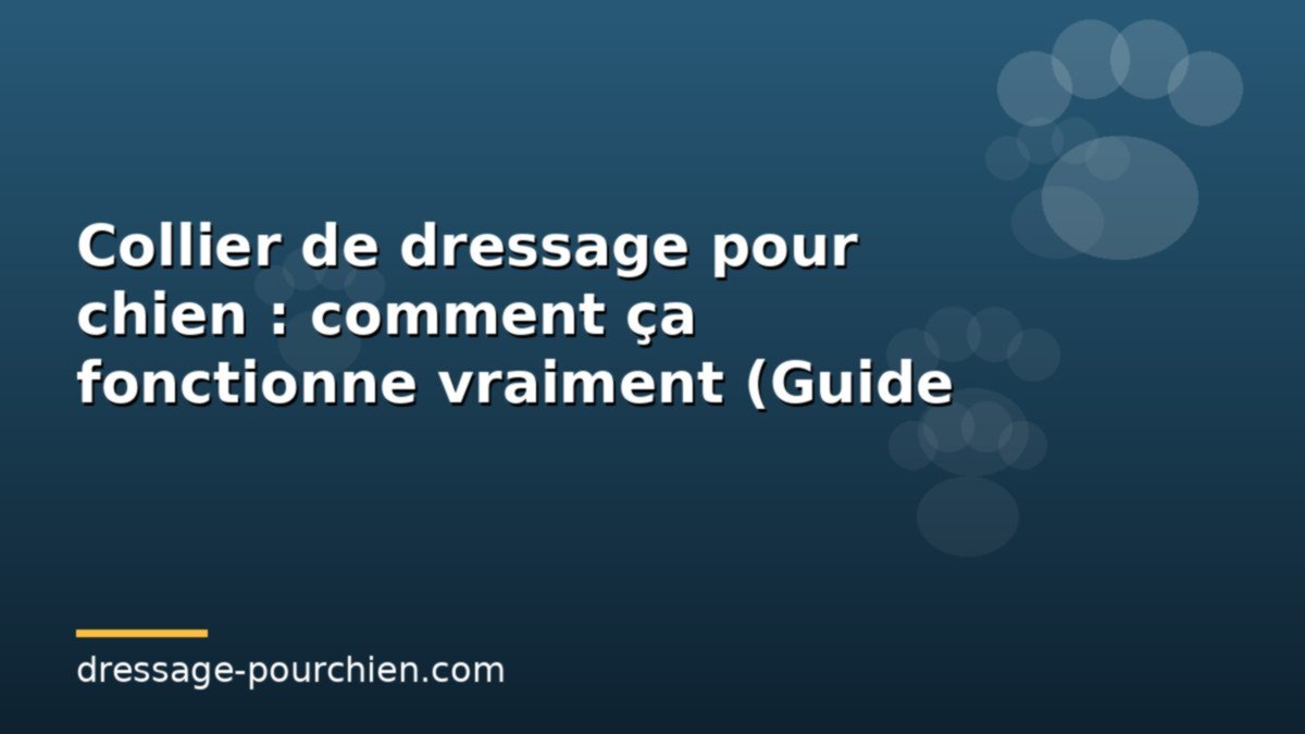 Collier de dressage pour chien : comment ça fonctionne vraiment (Guide