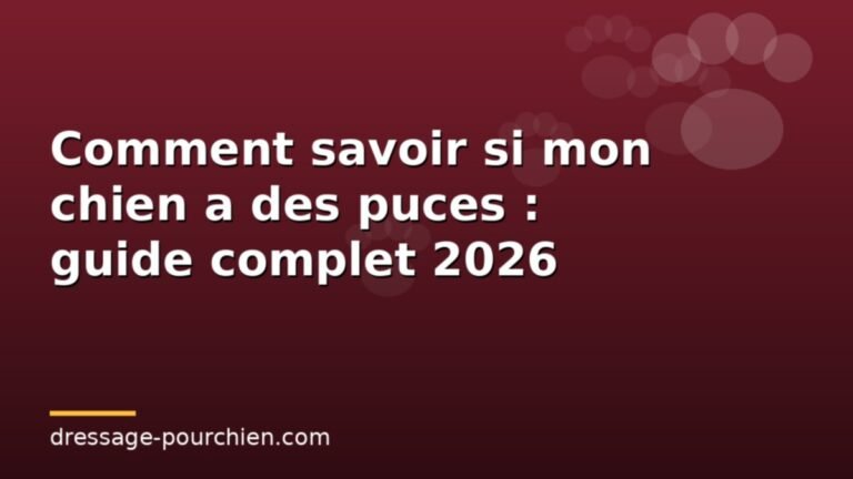 Lire la suite à propos de l’article Comment savoir si mon chien a des puces : guide complet 2026