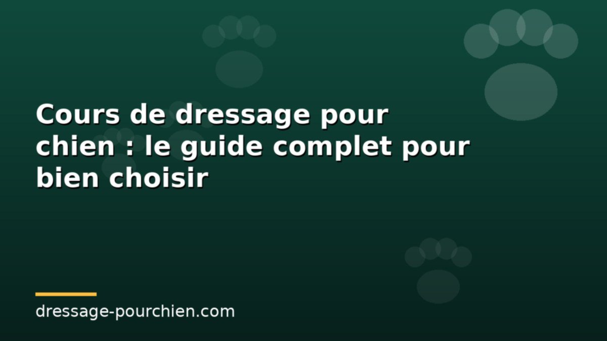 Cours de dressage pour chien : le guide complet pour bien choisir