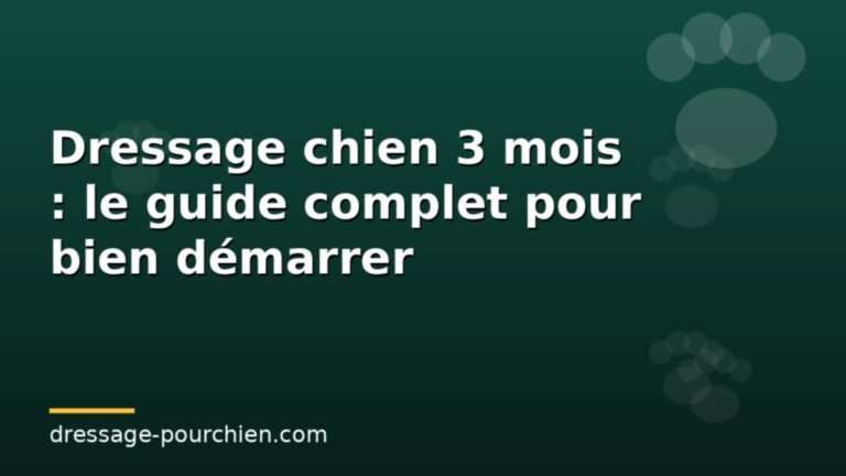 Lire la suite à propos de l’article Dressage chien 3 mois : le guide complet pour bien démarrer