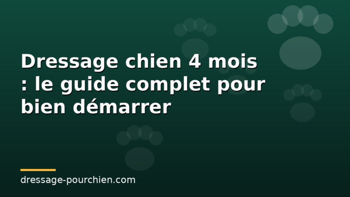 You are currently viewing Dressage chien 4 mois : le guide complet pour bien démarrer