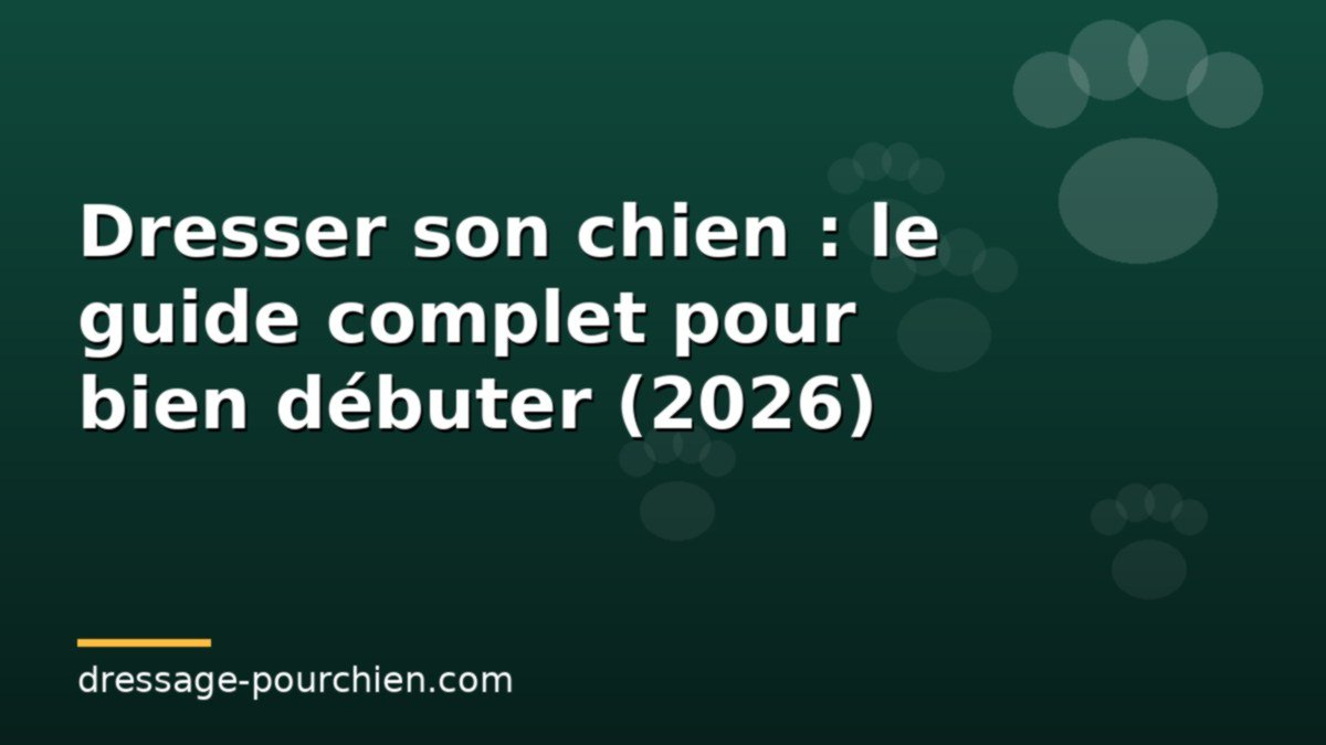 You are currently viewing Dresser son chien : le guide complet pour bien débuter (2026)