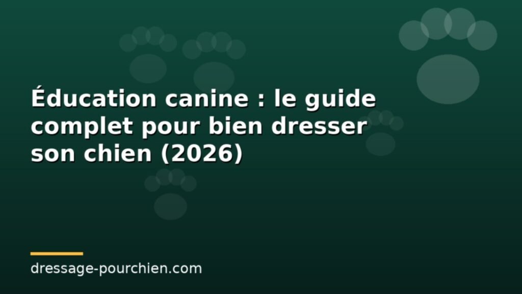 Éducation canine : le guide complet pour bien dresser son chien (2026)