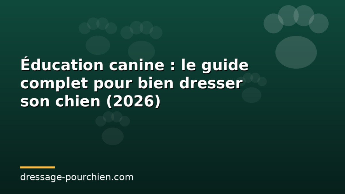 You are currently viewing Éducation canine : le guide complet pour bien dresser son chien (2026)