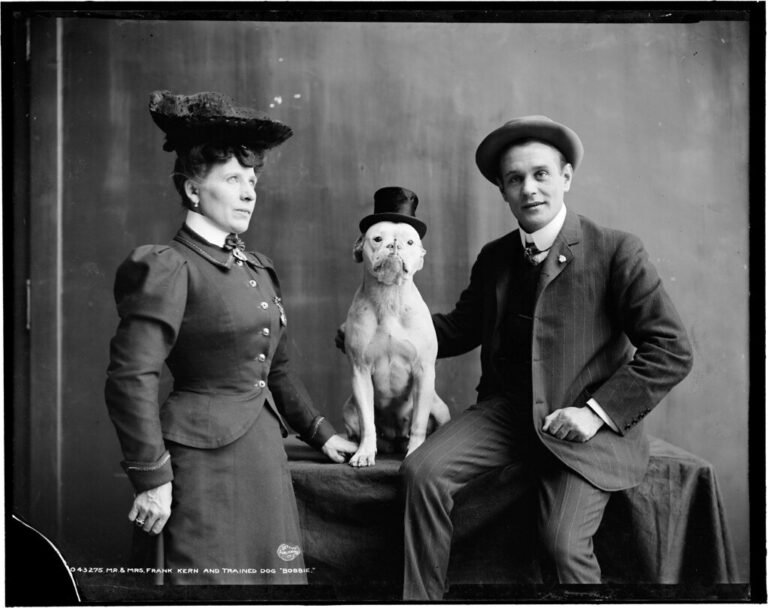Lire la suite à propos de l’article Dressage chien 4 mois : le guide complet pour bien démarrer