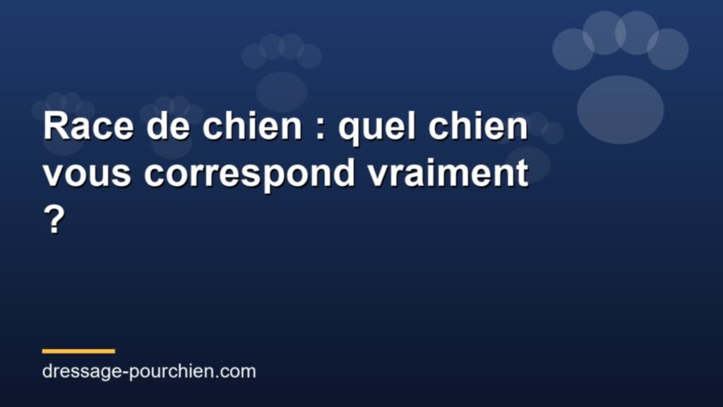 Race de chien : comment choisir la bonne pour votre mode de vie (Guide