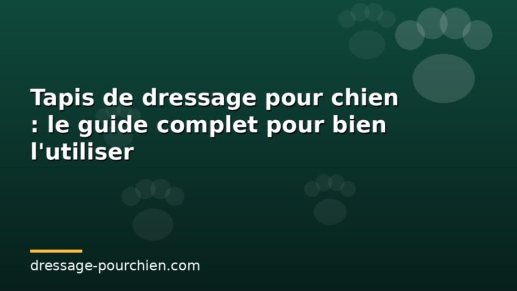 Tapis de dressage pour chien : le guide complet pour bien l&rsquo;utiliser