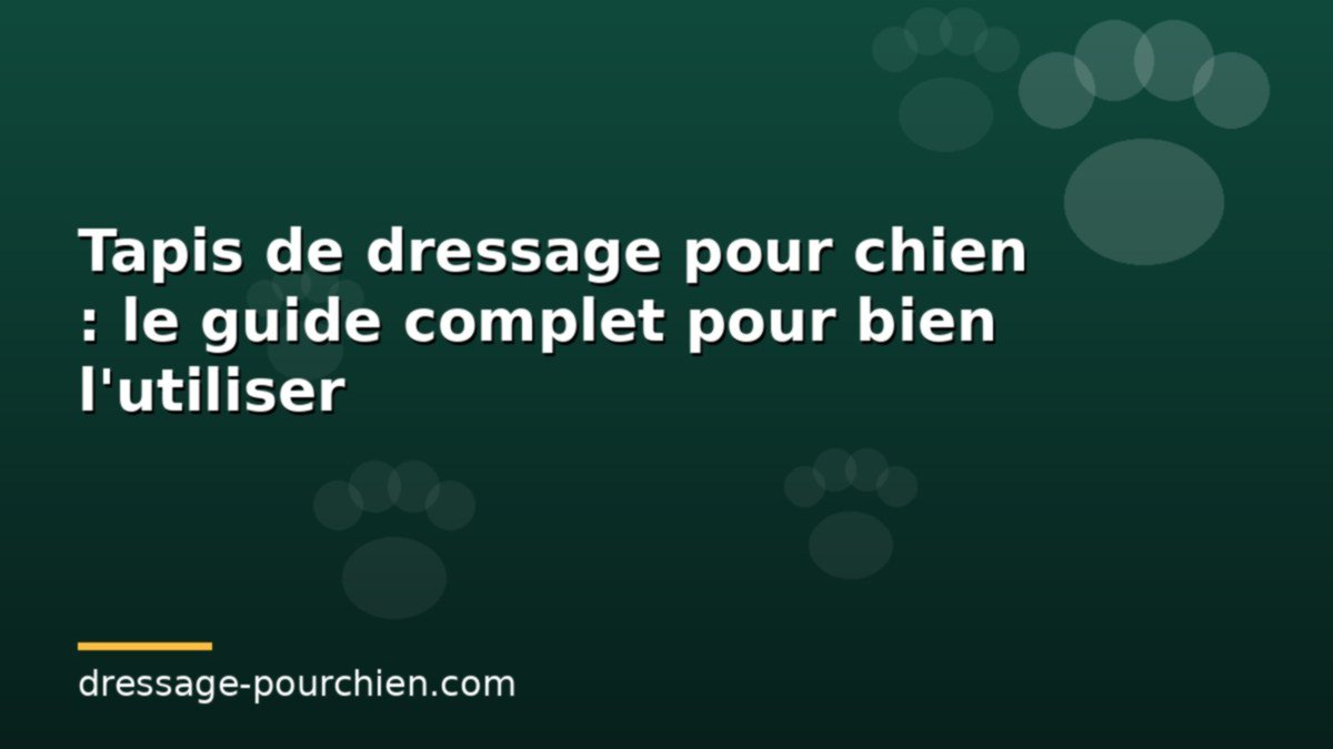 Lire la suite à propos de l’article Tapis de dressage pour chien : le guide complet pour bien l&rsquo;utiliser